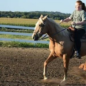 Meet your Posher, Kaydeen